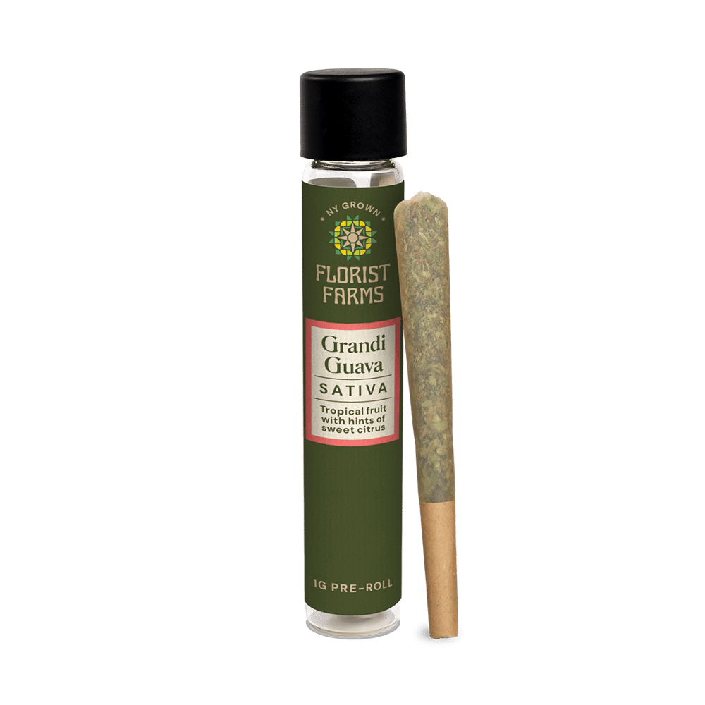 Grandi Guava [1g] by Florist Farms