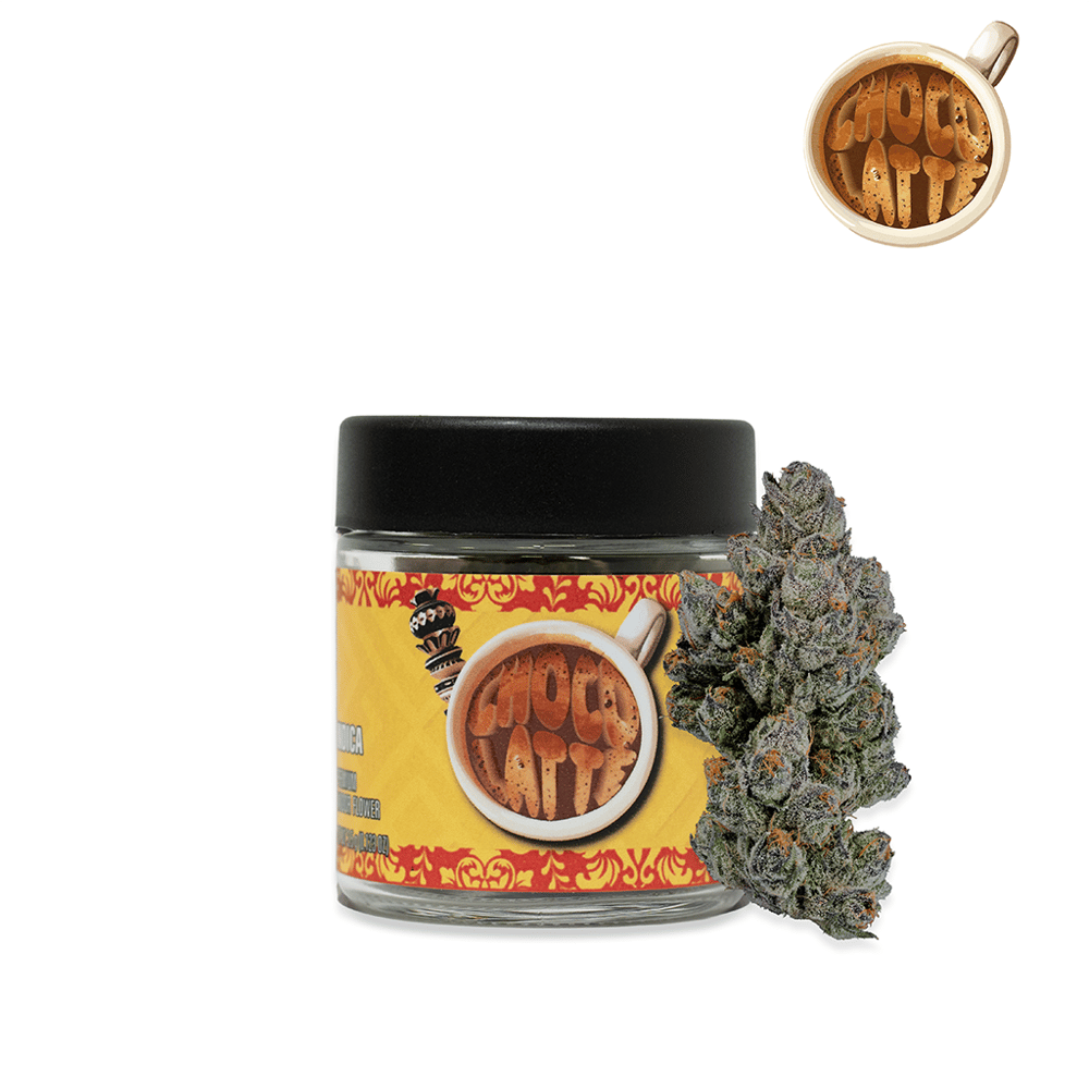 Chocolatte by Seed Junky Genetics