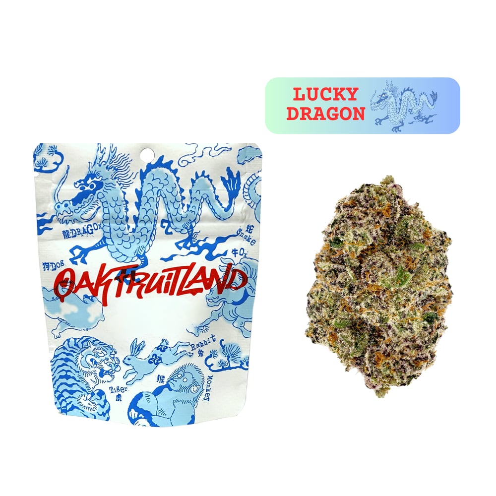 Lucky Dragon by Oakfruitland