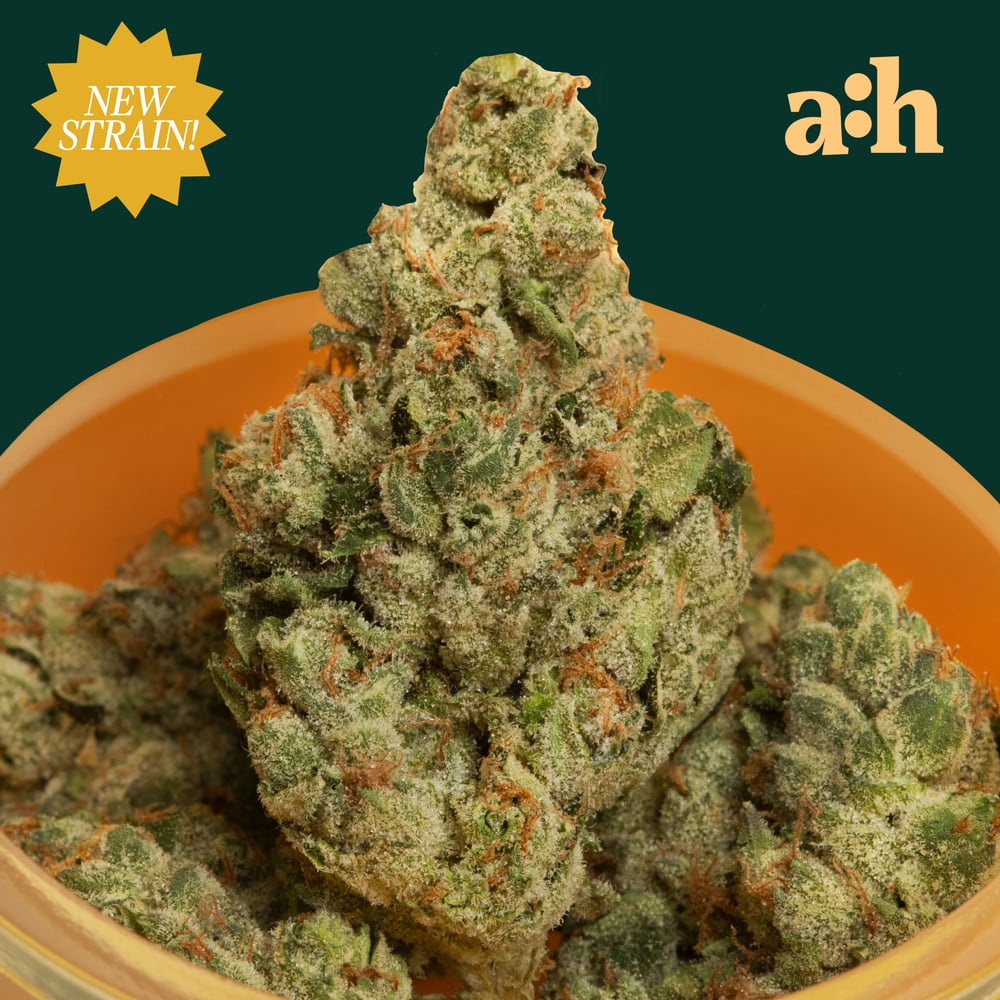 all:hours Sour Zoda 14g 42069 by all:hours