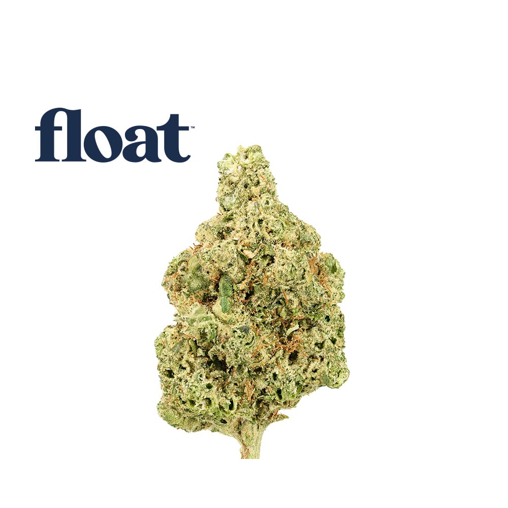 007UP by Float