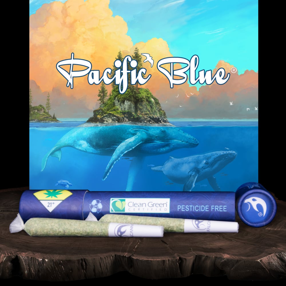 Pacific Blue [.6g] by Falcanna
