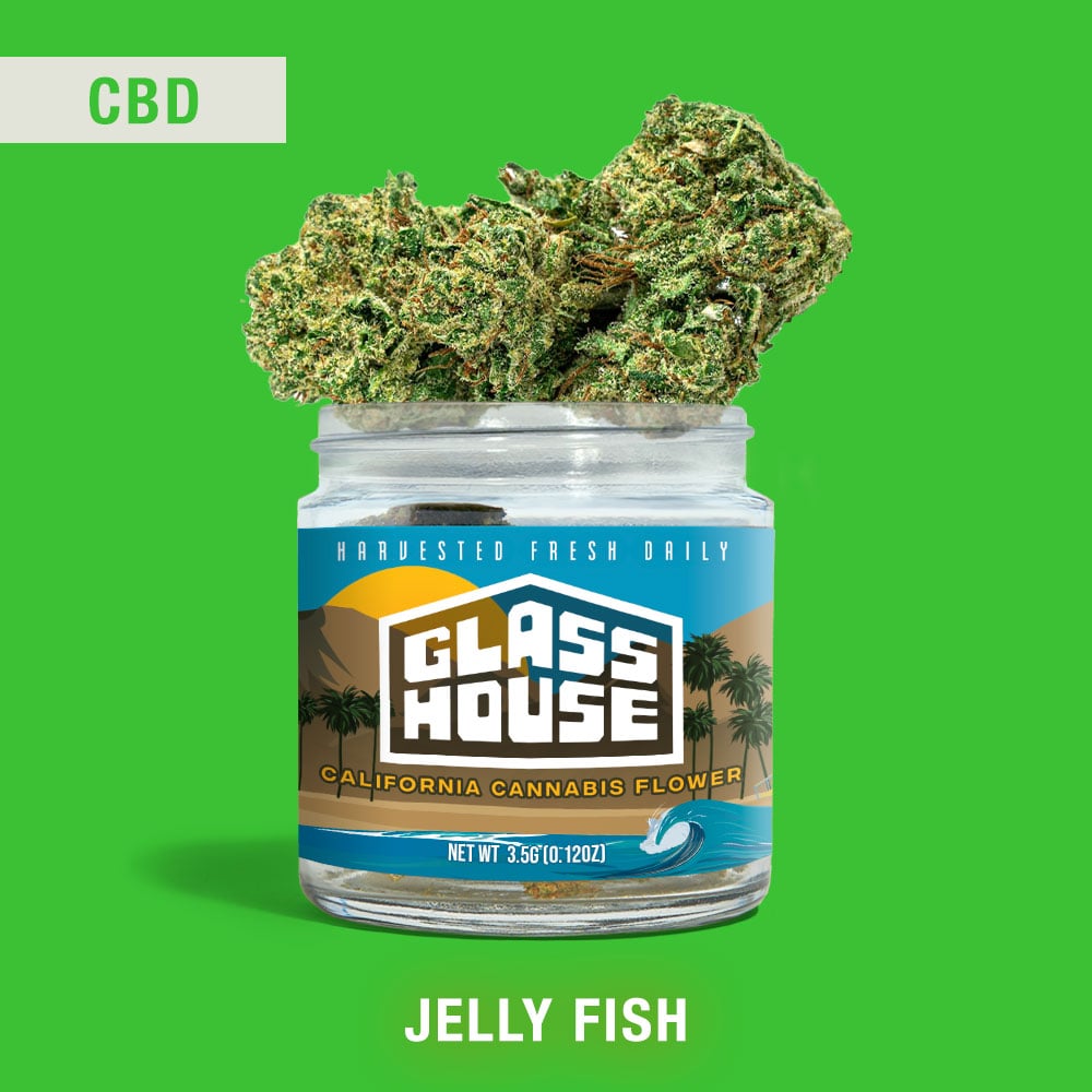 Jelly Fish™ by Glass House Farms