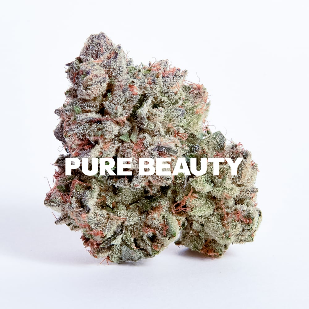 New Jack City #2 by Pure Beauty