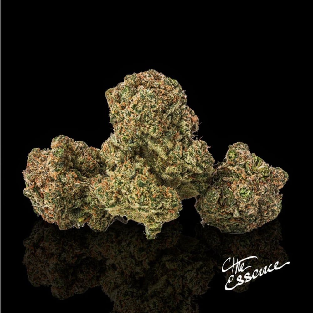 B52 Bomber by (the) Essence