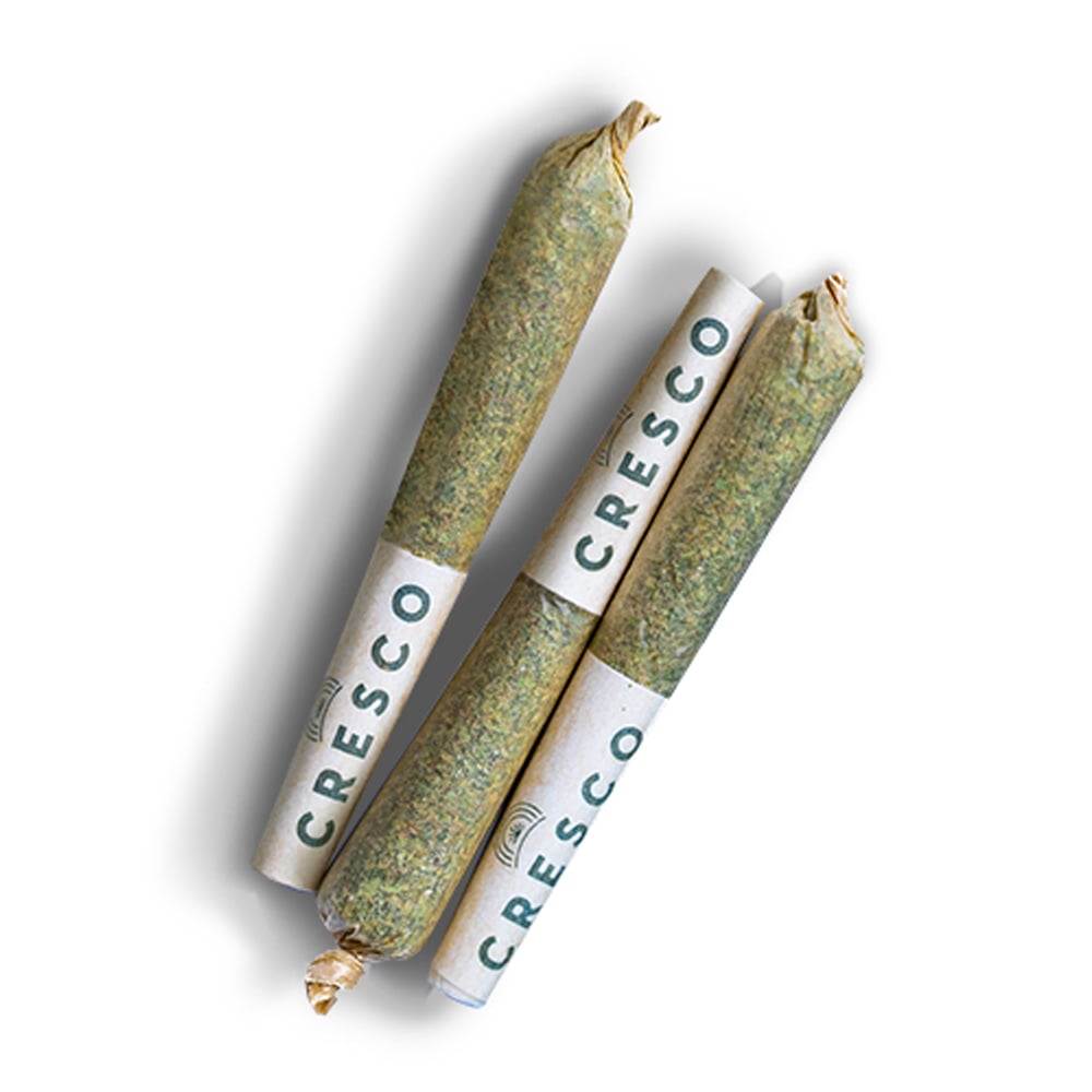 Apple Fritter [.5g] by Cresco™