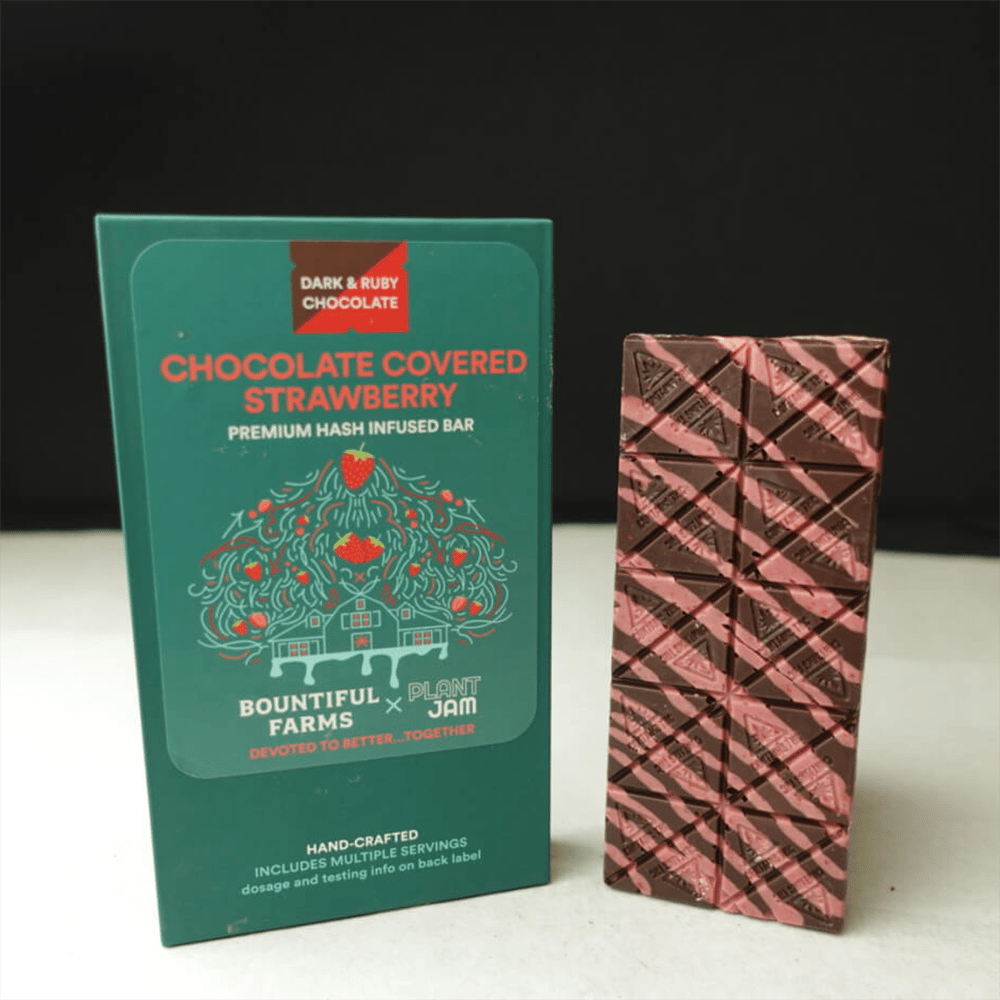 Dark Chocolate Covered Strawberry Bar (100mg) by Bountiful Farms