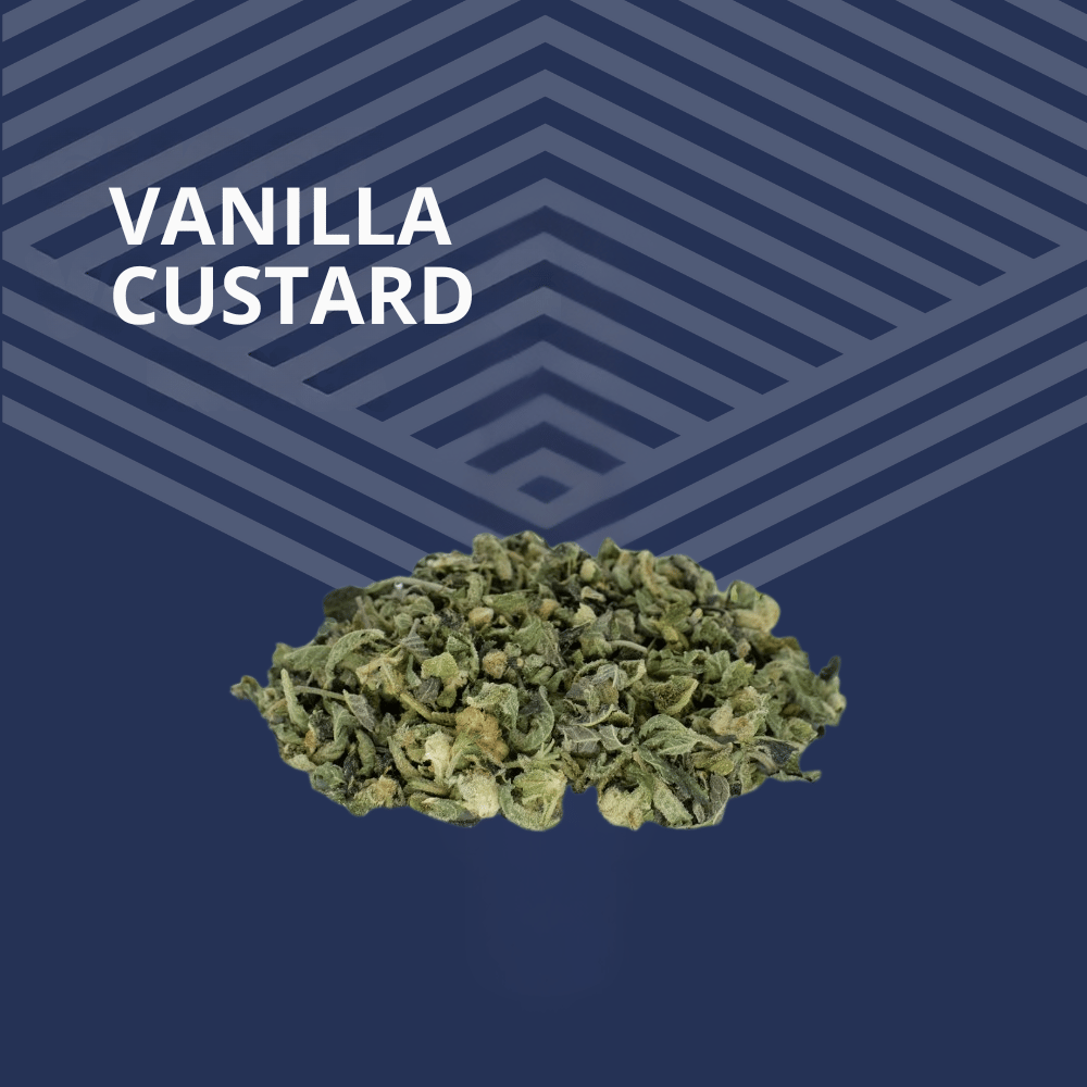 Vanilla Custard Trim by Pure Dakota