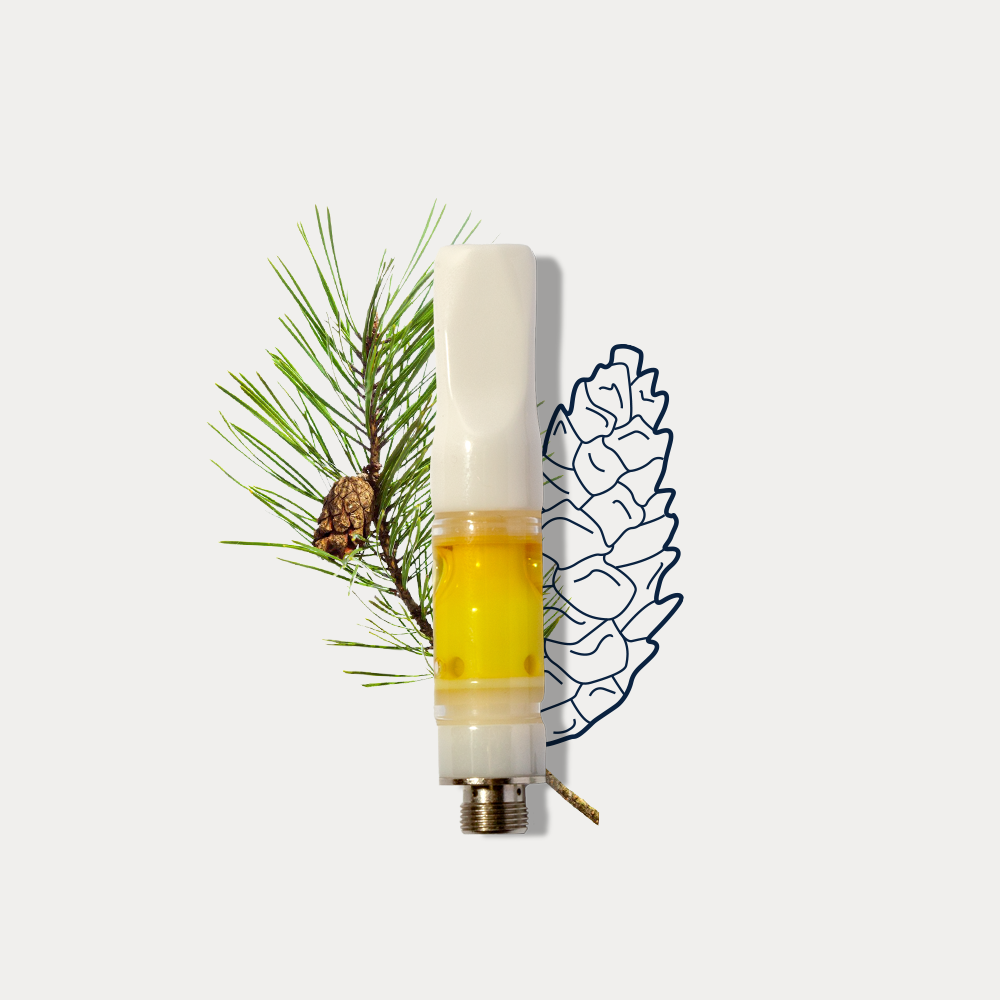 1:1 Harlequin by North Cannabis Company