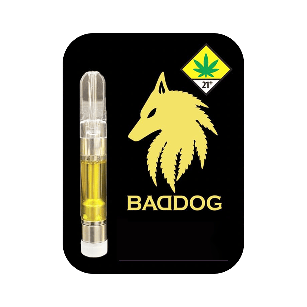 Focus by BADDOG
