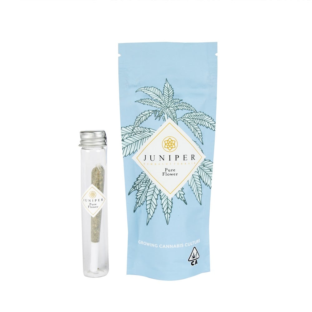 Vanilla Biscotti [1g] by Juniper