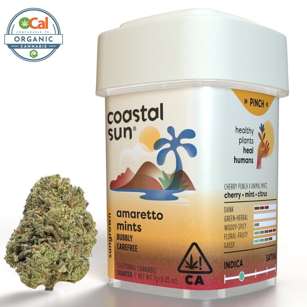 Amaretto Mints by Coastal Sun in United States