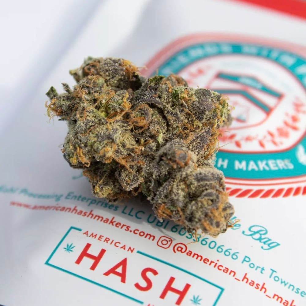 9lb Hammer by Friends with Flowers