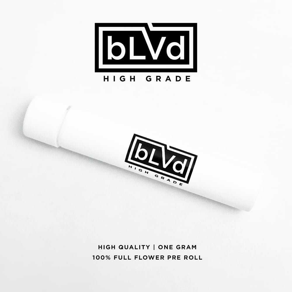 702 Headband [1g] by bLVd