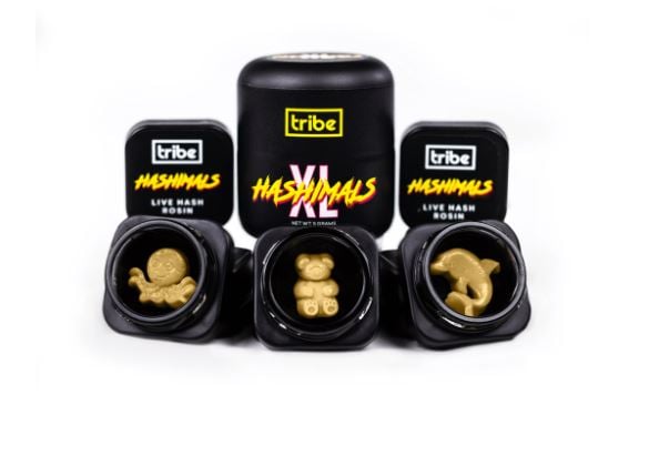 Amnesia Haze - Monkey [1.5g] by Tribe