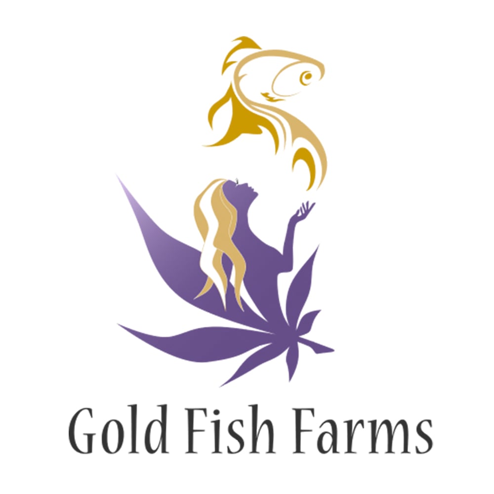 Kernel PuTang by Gold Fish Farms