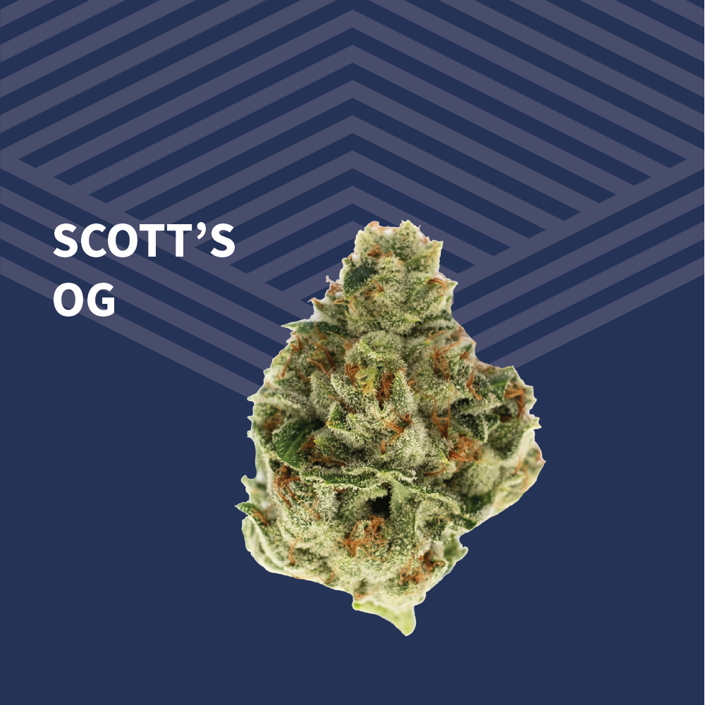Value Scott's OG by Pure Dakota