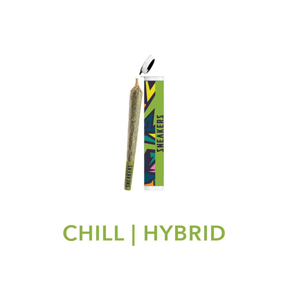 Chill - Apple Fritter [1g] by Sneakers