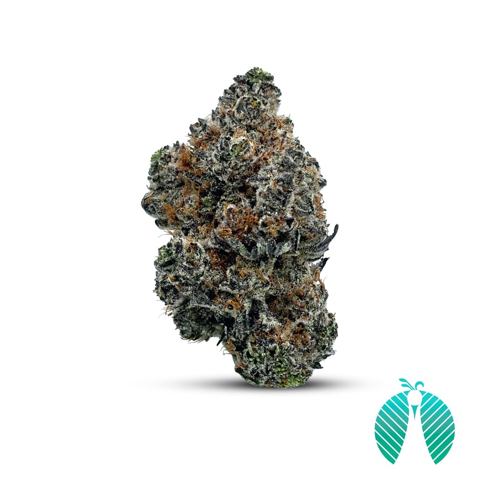 Wookie Burger by Maitri Genetics