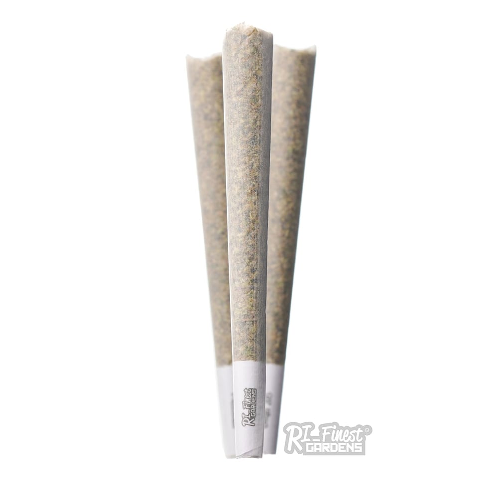 Billy Idle [.5g] by RI Finest Gardens