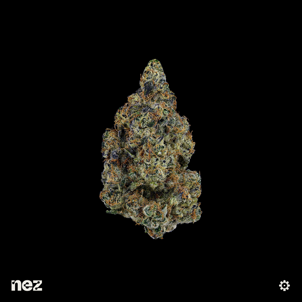 Daily Grapes by NEZ