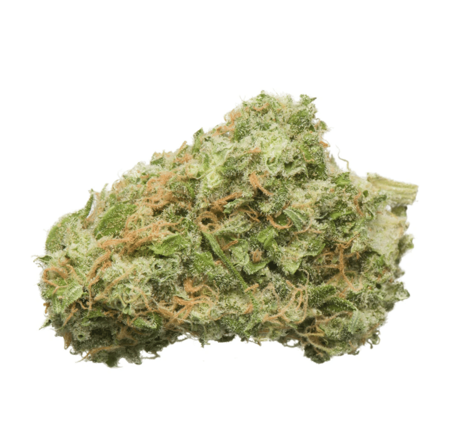 24k Gold by Namaste