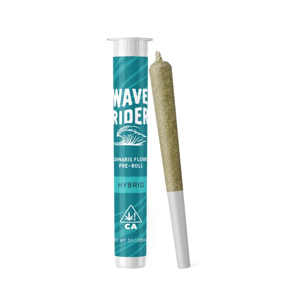 Apple Fritter [1g] by Wave Rider