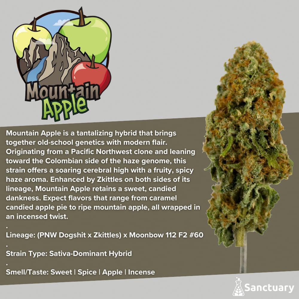 Whole Buds - Mountain Apple by Sanctuary