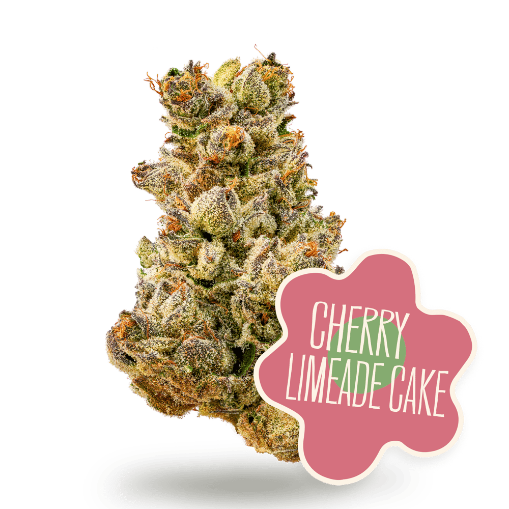 Shop Wedding Cake x Lime Vines | Sunburst Pharm - MED Dispensary