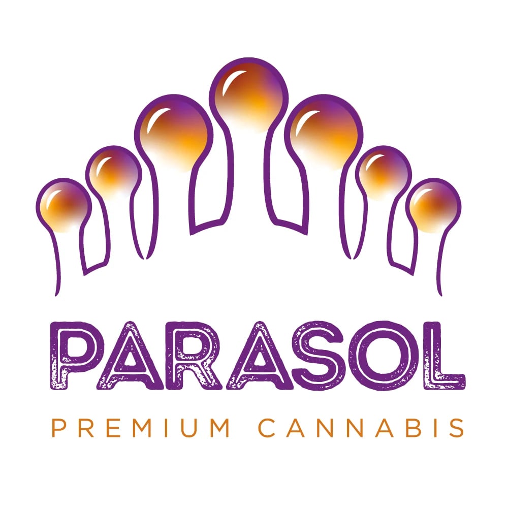 9 Lions #2 by Parasol