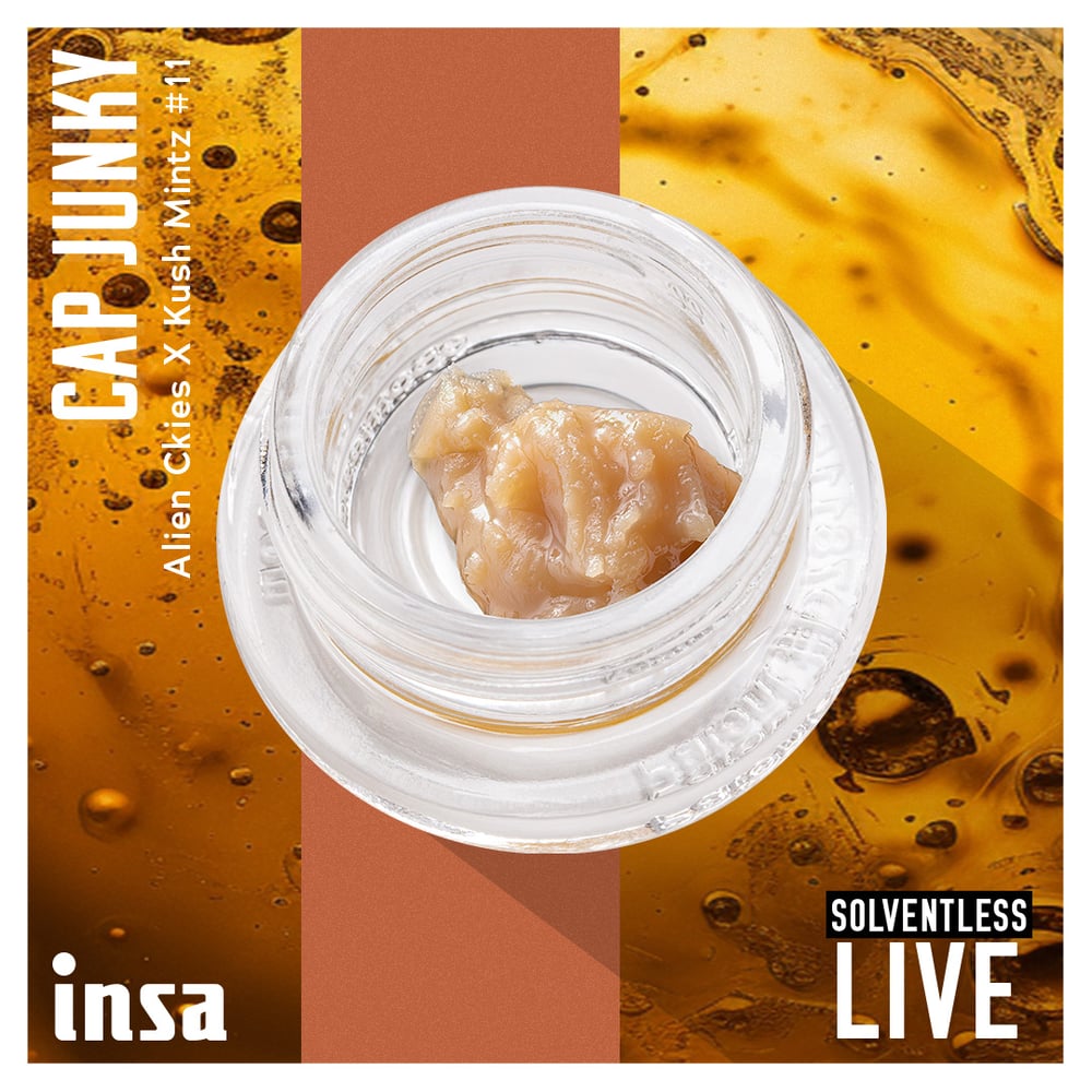 Cap Junky by Insa