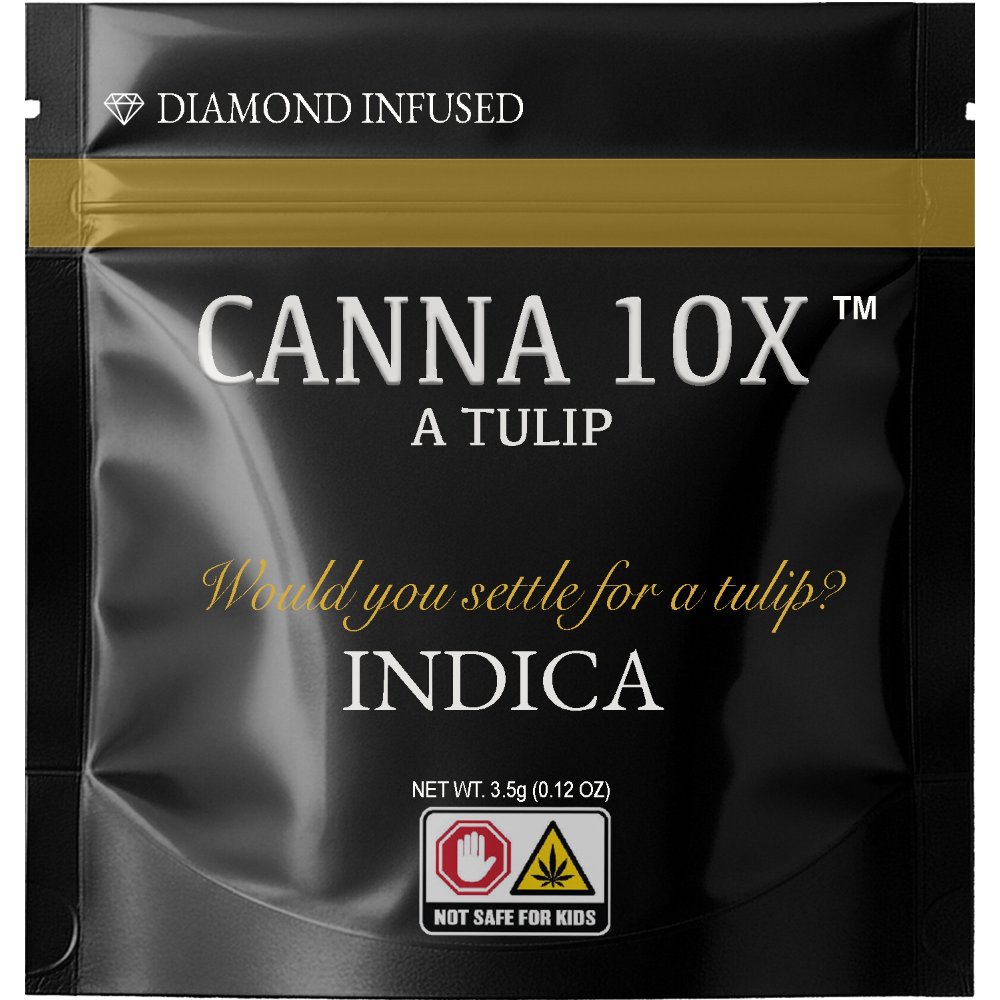 A Tulip by Canna10x