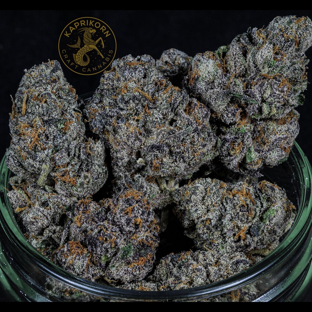 Acai Gelato by Kaprikorn