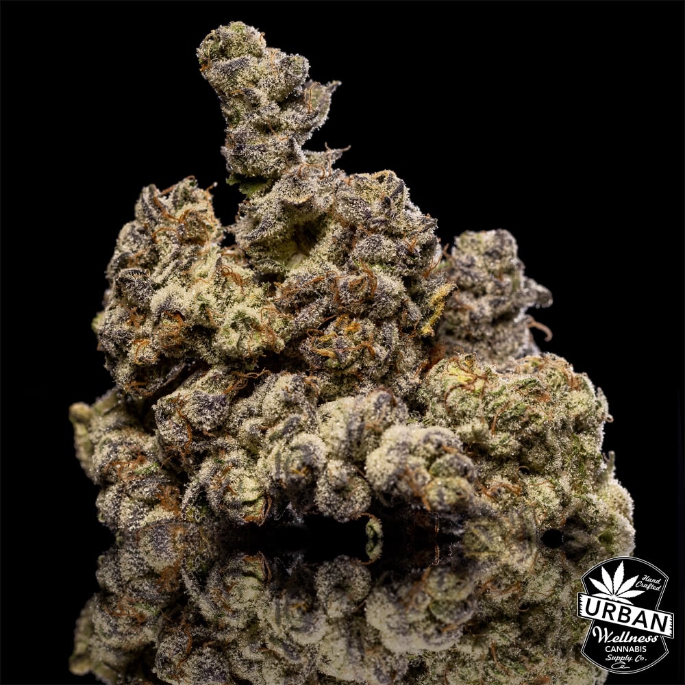 Ice Cream Cake by Urban Wellness