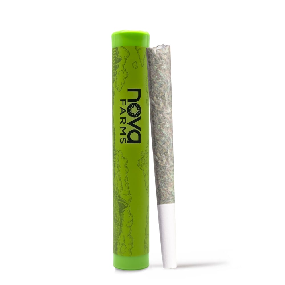 Acid Dough [1g] by Nova Farms