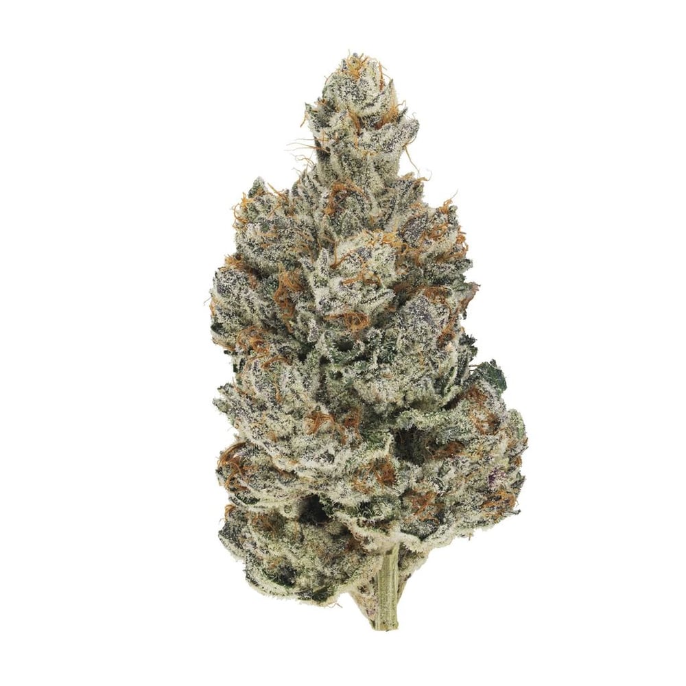 Headstash (Quadra) by Broken Coast