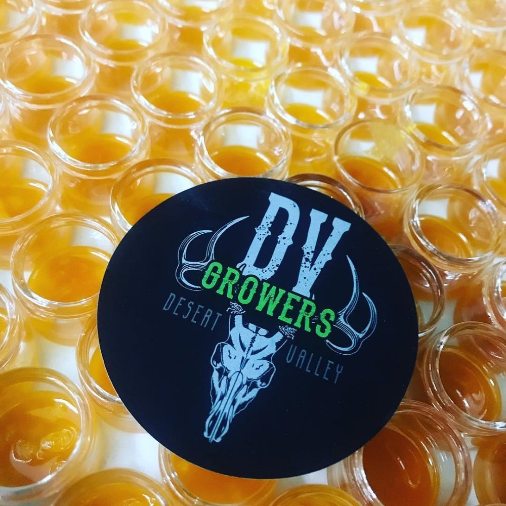 Platinum Kush Breath by Desert Valley Growers