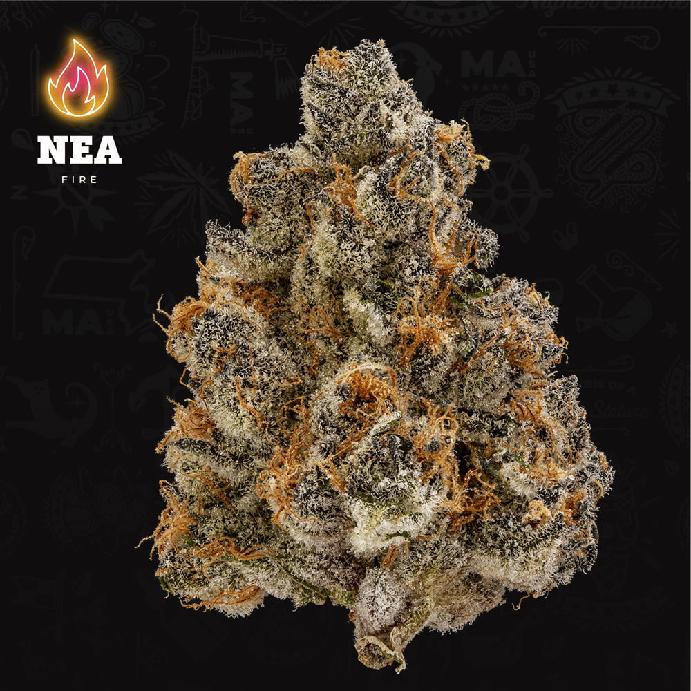 Super Boof by Northeast Alternatives