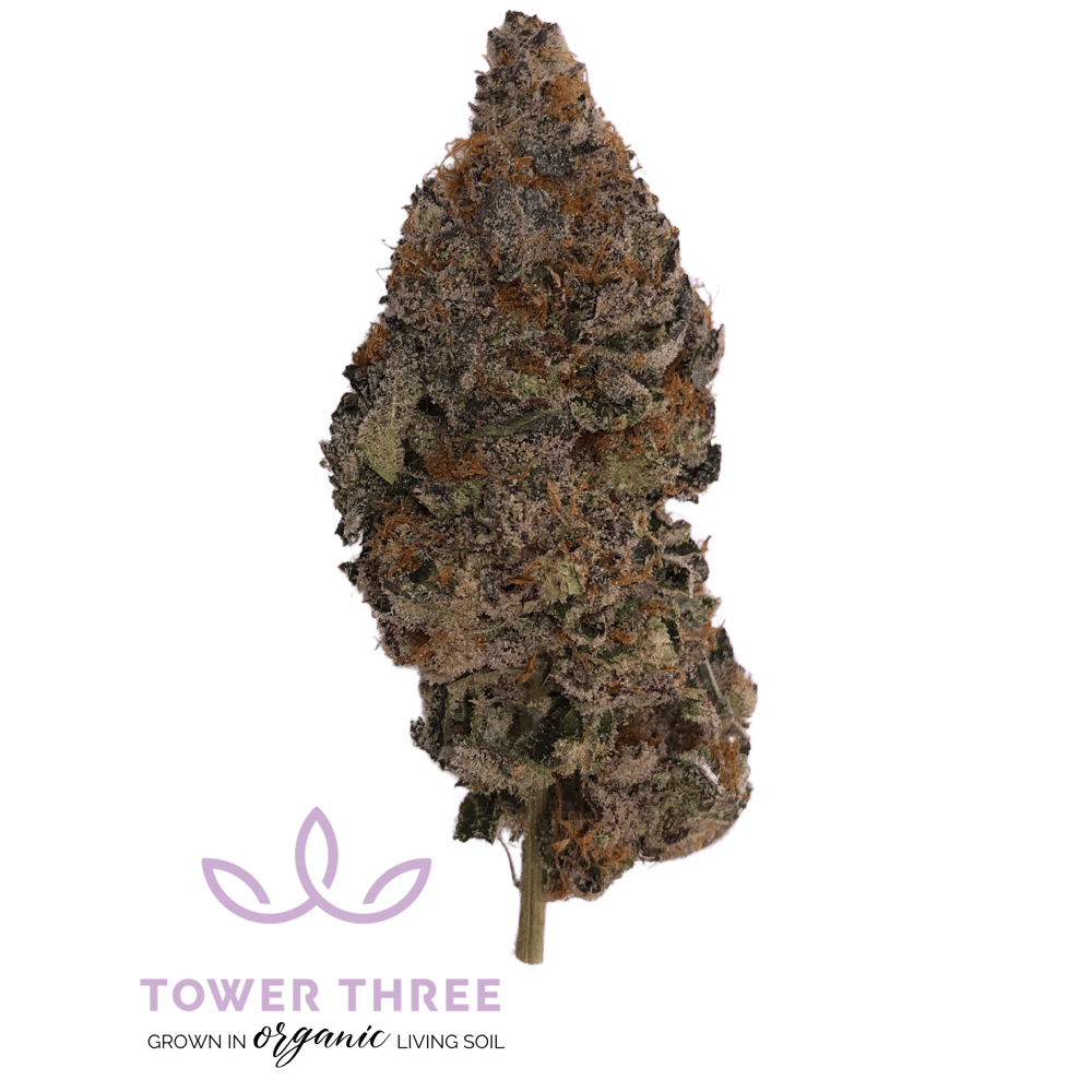 007 Up by Tower Three