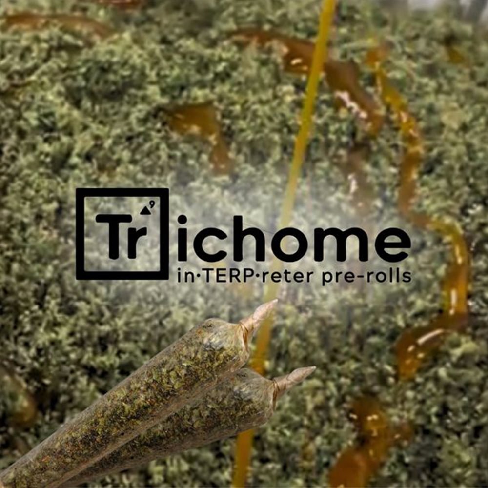 Alien Mintz x MT [.75g] by Trichome Extracts