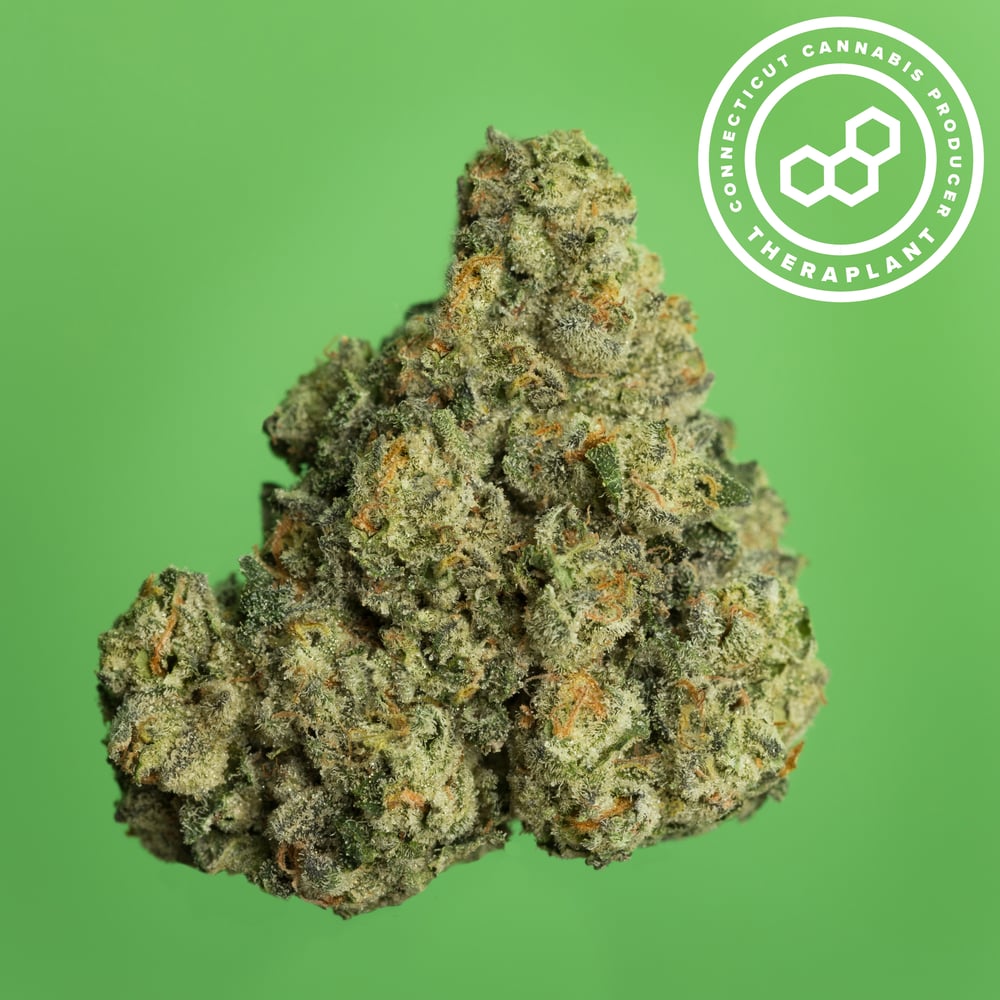 Z Pave 4162 by Theraplant