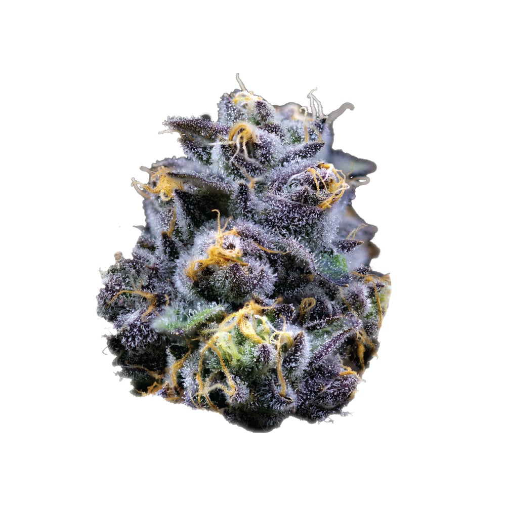 Ambrosia by Ember Valley