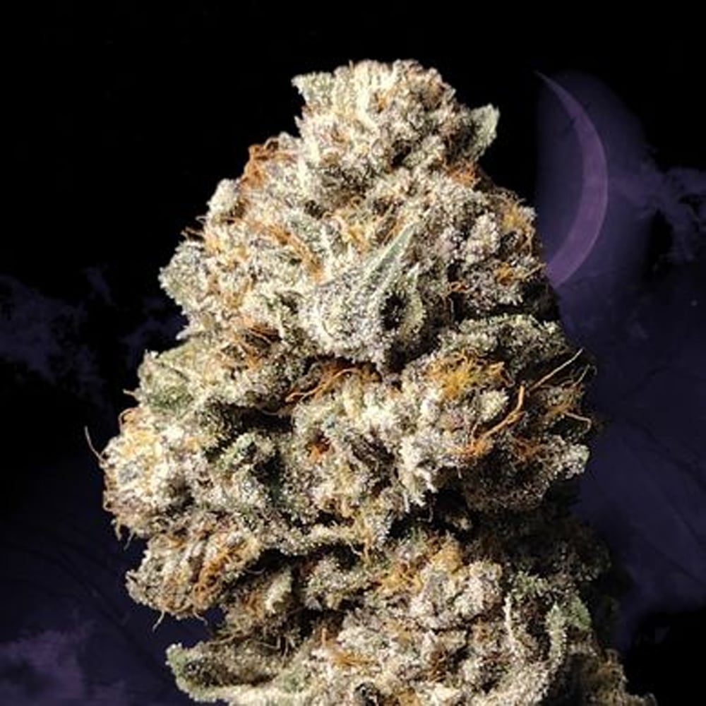MAC 1 by Trichome Extracts