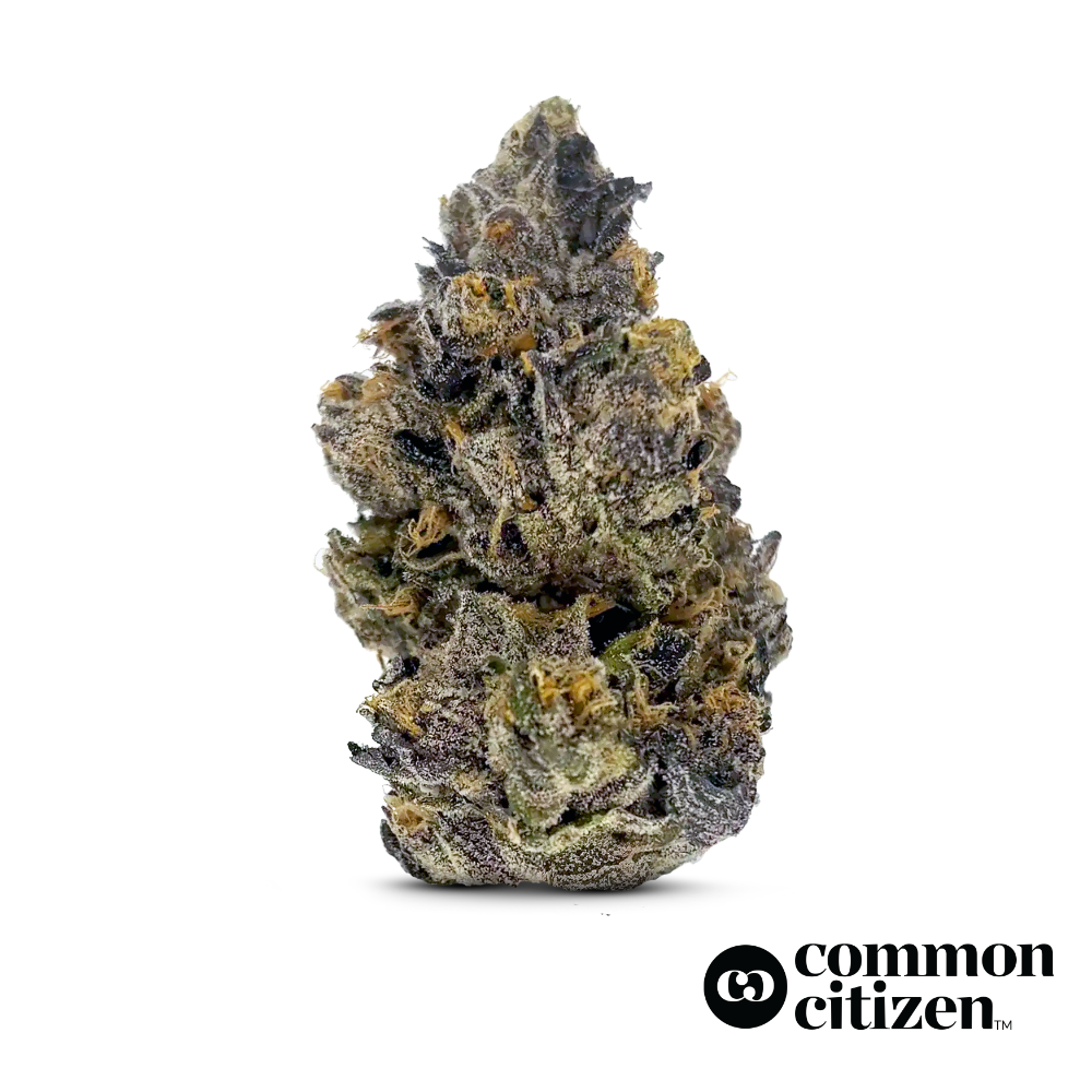 Yinz by Common Citizen