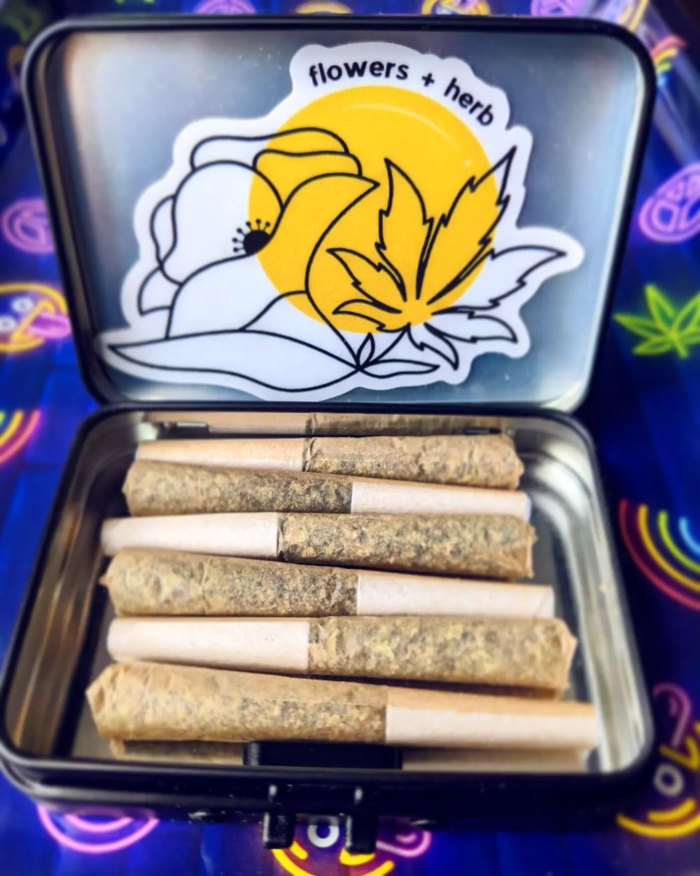 Rainbow Chip [5pk] by Flowers + Herb