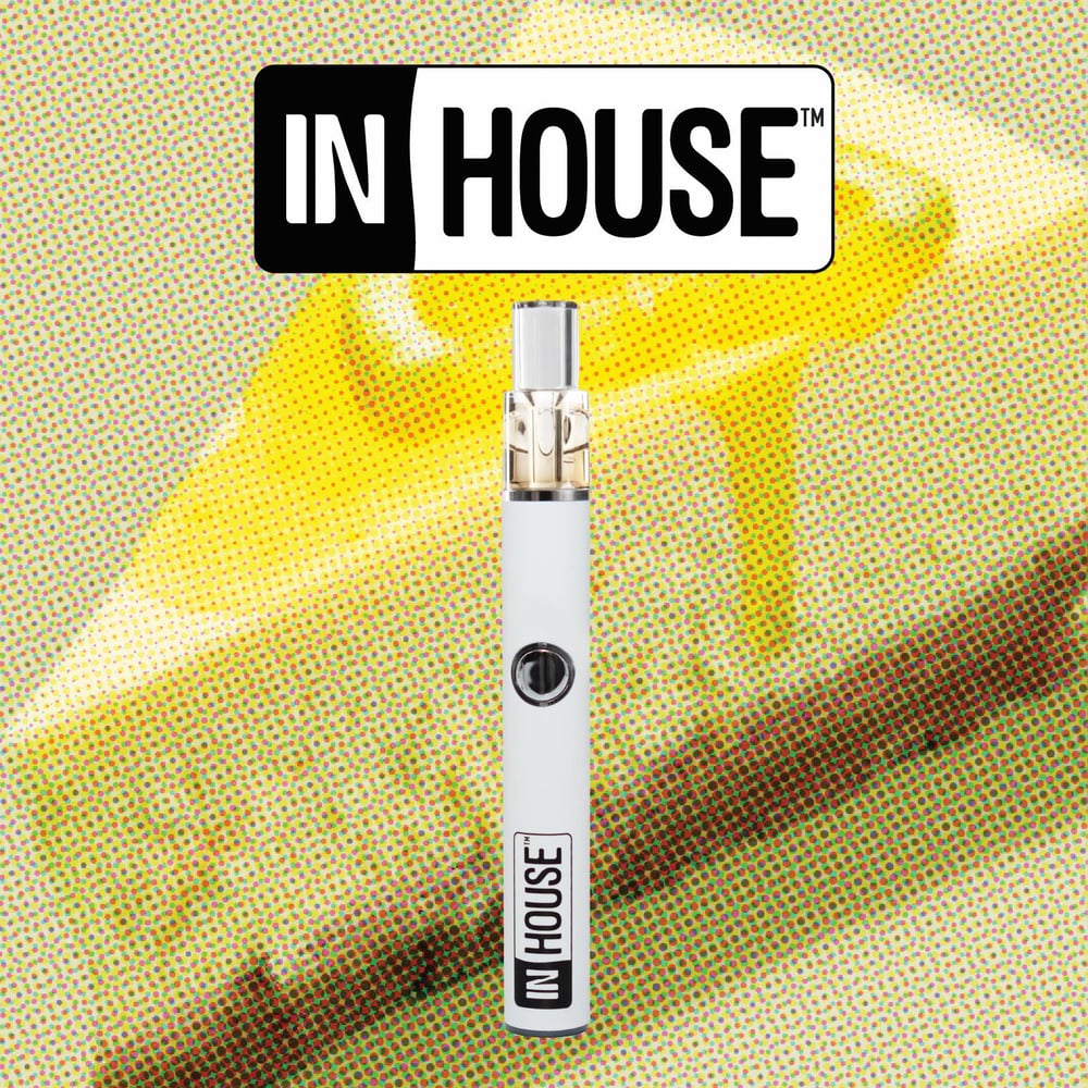 in house disposable vape Cool Grape [500mg]