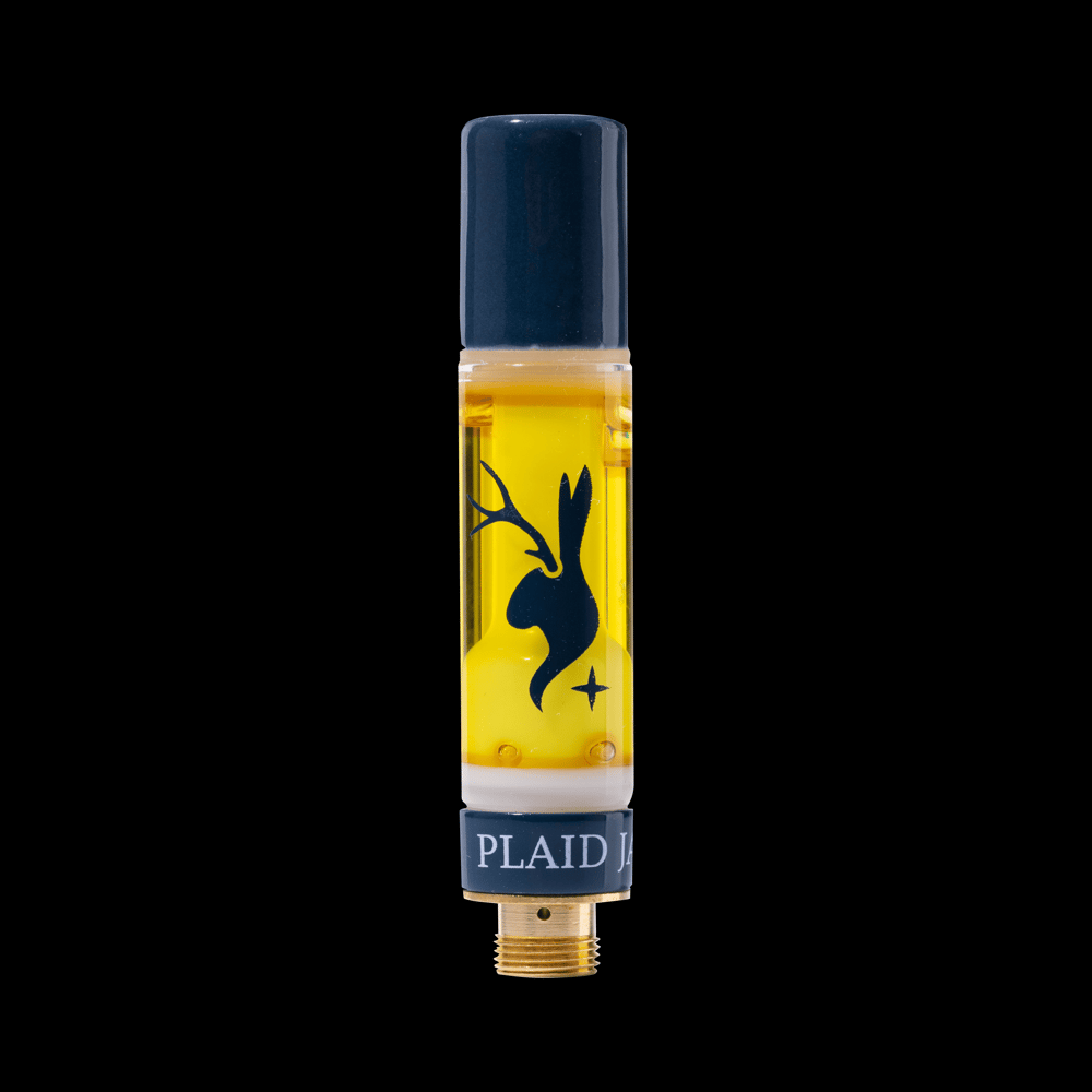 Zero Gravity by Plaid Jacket
