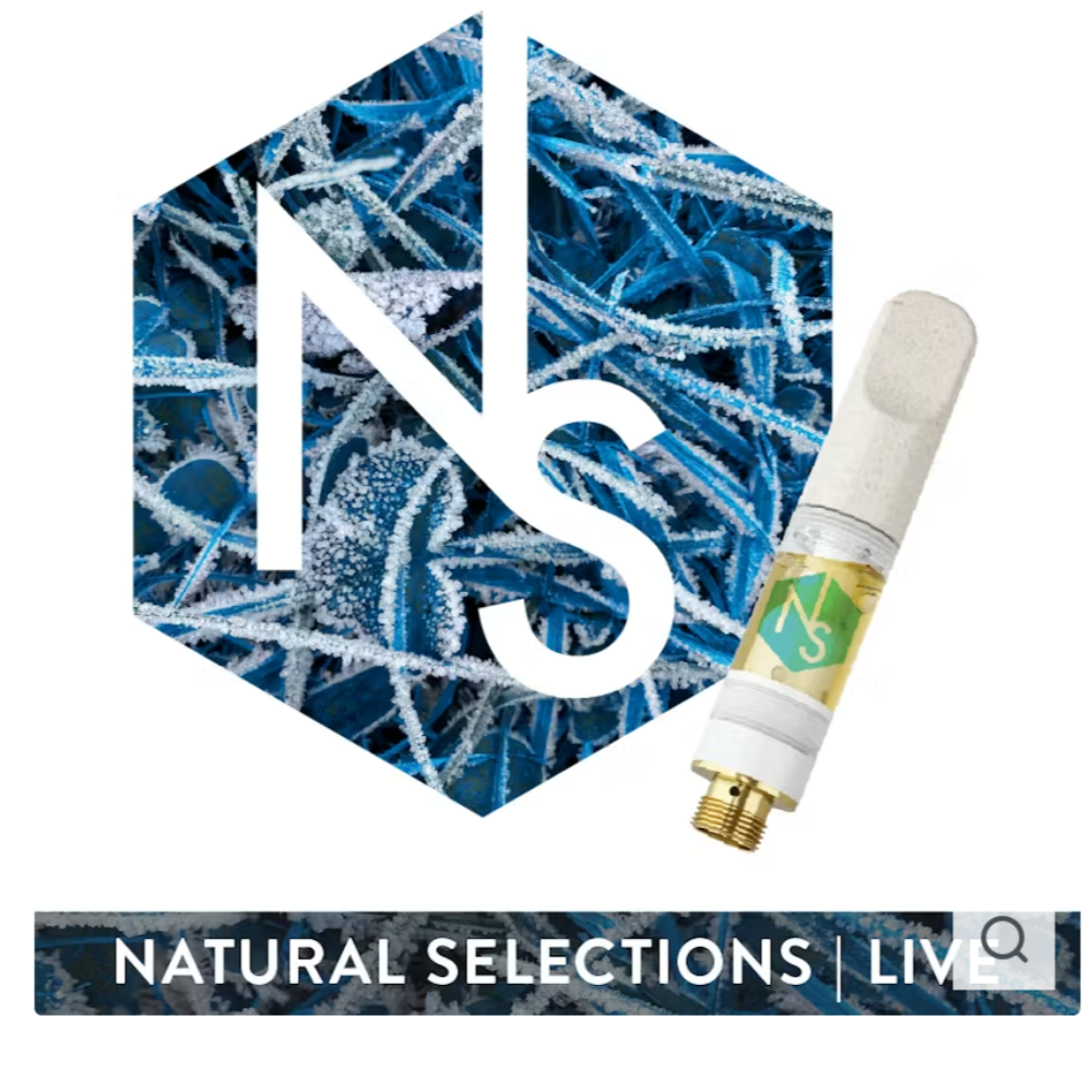 Papaya by Natural Selections