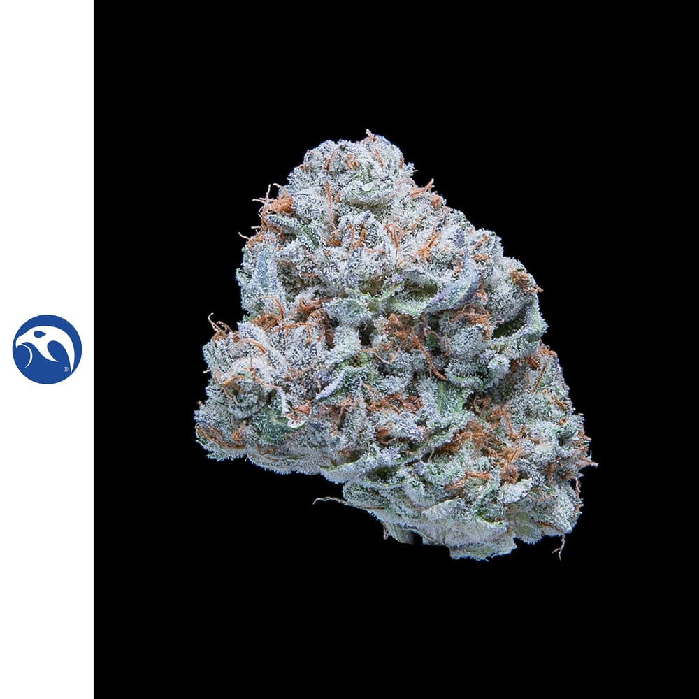 Gorilla Cookies by Falcanna