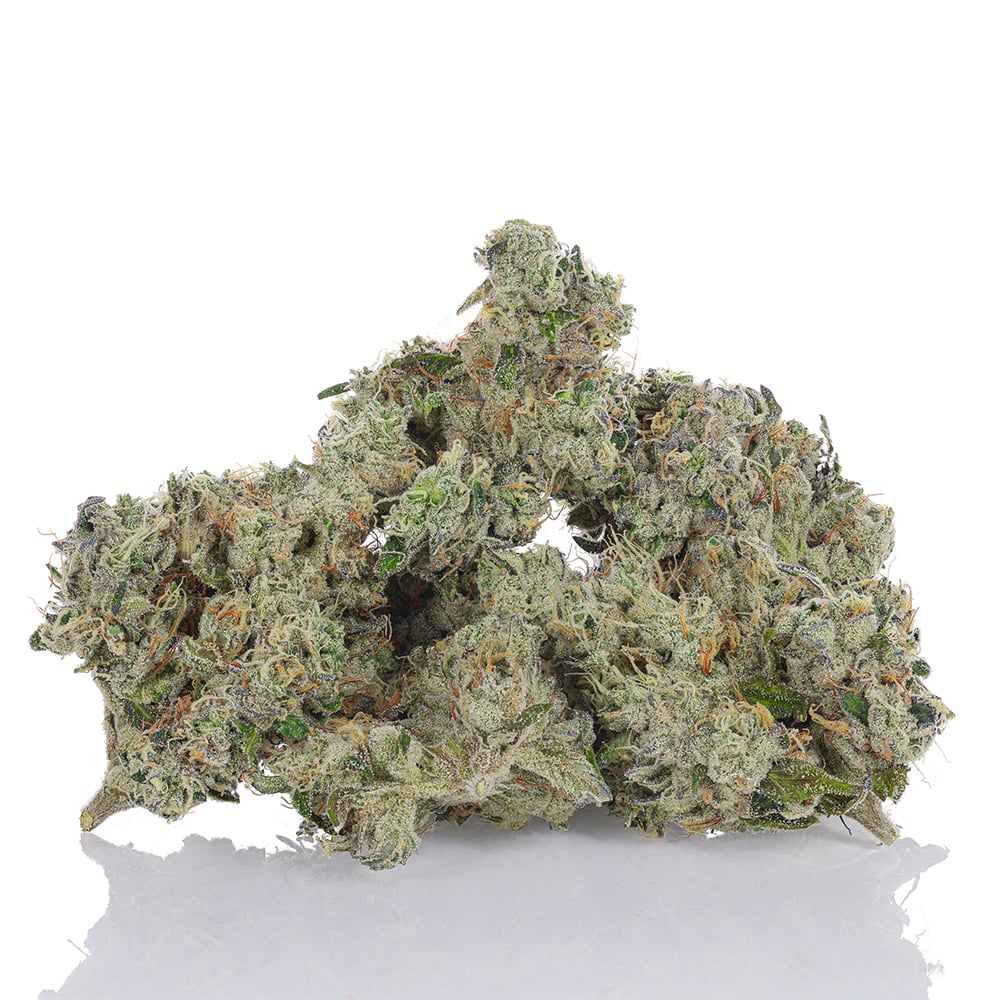 702 Headband by bLVd